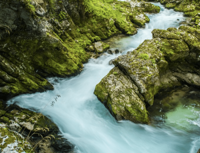 17 Survival Myths That Could Actually Get You Hurt
